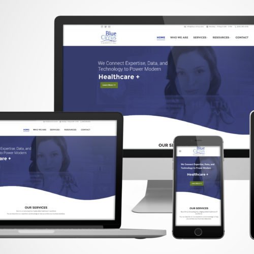 Blue Cirrus Consulting